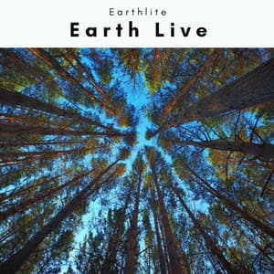 1 Earth Live - Earthlite
