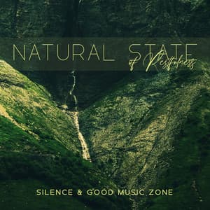 Natural State of Restfulness. Silence & Good Music Zone - Relaxation New Age Melodies