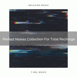 Perfect Noises Collection For Total Recharge - Ocean Waves For Sleep