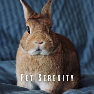 Pet Serenity: Harmonious Chill Music - Static Peace