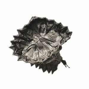 Fabulous Ambiance for Happy Sundays - Jazz Relax Lounge