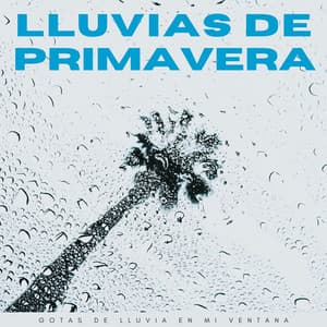 Lluvias De Primavera: Gotas De Lluvia En Mi Ventana - El Canal del Clima