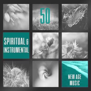 50 Spiritual & Instrumental New Age Music: Meditation, Yoga, Therapy, Chakra, Study, Spa, Pregnancy, Zen, Sleep, Massage, Relaxation - Relaxing Music Guys