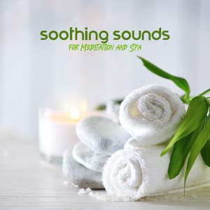Few Moments of Silence - Wellbeing, Pure Relax, Delight for the Soul, Soothing Sounds for Meditation and Spa - New Age Harmonic Melodies
