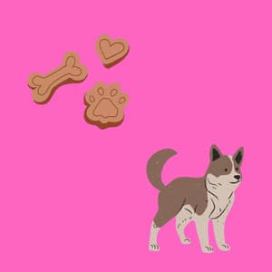 Quintet Jazz - Puppy Sleeping Sounds