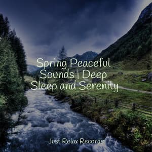 Spring Peaceful Sounds | Deep Sleep and Serenity - ASMR HD