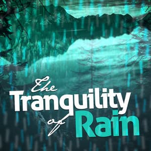 The Tranquility of Rain - Natural Rain Sounds