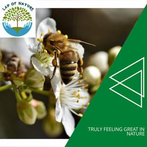 Truly Feeling Great In Nature - Calm Music