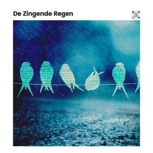 De Zingende Regen - Geluiden van de Regen