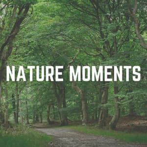 Nature Moments - Cricket Sounds