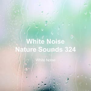 White Noise 324 - White Noise