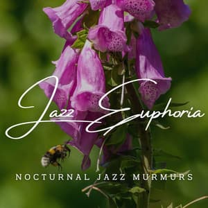 Jazz Euphoria: Café Lounge Chronicles - Chillout Jazz Collective