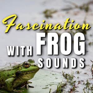 Fascination with Frog Sounds - Frog Sounds