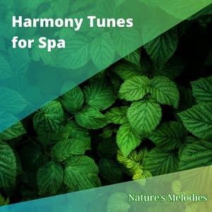 Harmony Tunes for Spa: Peacefulness & Complete Relaxation - Nature's Melodies