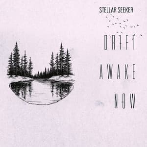 Drift Awake Now - Stellar Seeker