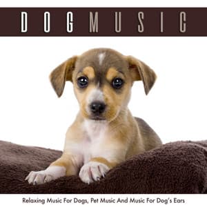Dog Music: Relaxing Music For Dogs, Pet Music and Music for Your Dog’s Ears - Dog Music