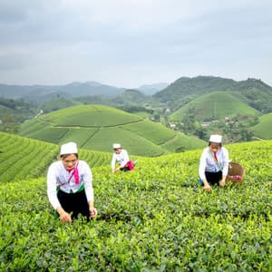 Mindful Rainy Piano: Focus for Workplace Success - Little Piano Player
