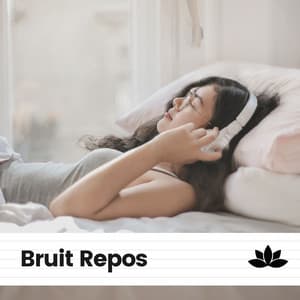 Bruit Repos - Bruit Brun