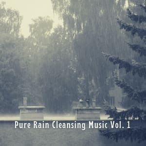 Pure Rain Cleansing Music Vol. 1 - Rain Paris