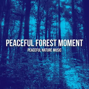 Peaceful Forest Moment - Peaceful Nature Music