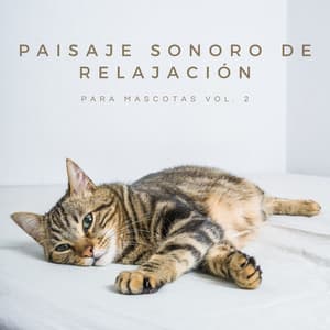 Paisaje Sonoro De Relajación Para Mascotas Vol. 2 - Relajamiento Total para las Mascotas