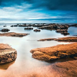 25 Songs With Nature: Echoes In The Night - Baltic Nature Sounds