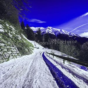 Melodic Moonlit Nocturne - Cosmic Thought