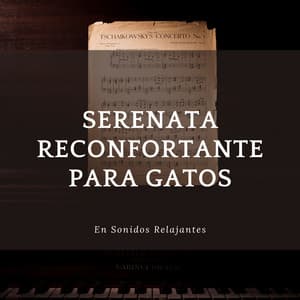 Serenata Reconfortante Para Gatos En Sonidos Relajantes - Piano fácil de escuchar