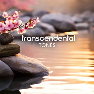 Transcendental Tones: 1 Hour Meditative Music for a Deep Sense of Relaxation, Stress Relief, and Mental Clarity - Oasis of Relaxation and Meditation