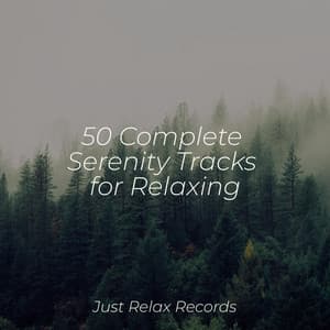 50 Complete Serenity Tracks for Relaxing - ASMR HD