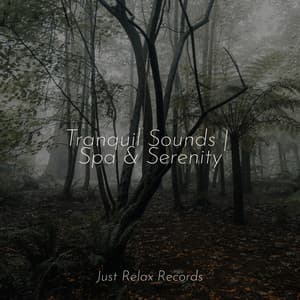 Tranquil Sounds | Spa & Serenity - Smart Baby Lullaby
