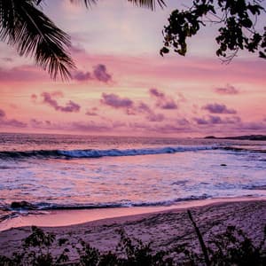 50 Calming Ocean Songs:Calm Horizons - Coastal Sounds