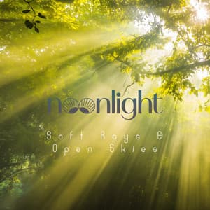 Soft Rays & Open Skies - Noonlight