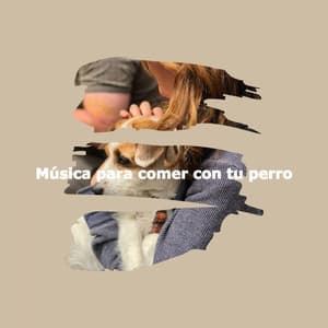 Música para comer con tu perro - Playlist Musica para Estudiar
