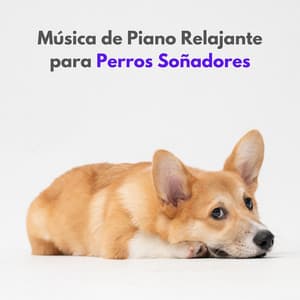 Música De Piano Relajante Para Perros Soñadores - Musica Relajante De Piano Clásica