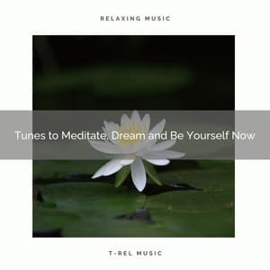 2020 Best: Tunes to Meditate, Dream and Be Yourself Now - Peaceful Sounds Zone