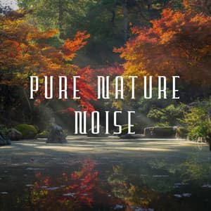 Pure Nature Noise - Sounds of Rain White Noise Sleep