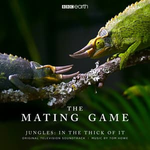 The Mating Game - Jungles: In The Thick Of It - Tom Howe