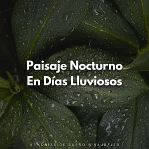 Paisaje Nocturno En Días Lluviosos: Armonías De Sueño Binaurales - Sonidos de lluvia para dormir