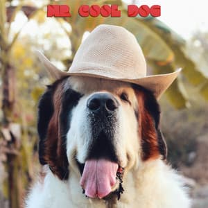 Mr Cool Dog - Soothing Dog Sounds