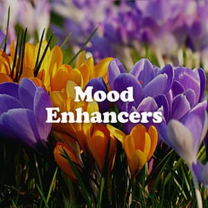 Mood Enhancers - Cafe Music Jazz Channel