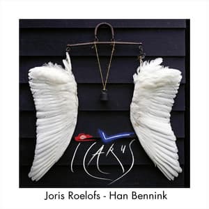 Icarus - Joris Roelofs