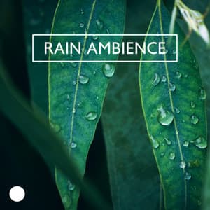 Rain Ambience: Nature Sounds Collection - Rainfall