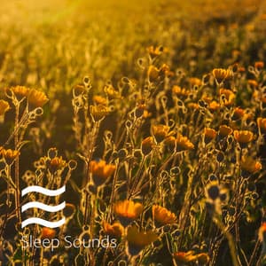 Relaxing Soft Shushers Noisy Nature For Sleeping - Baby Rain Sleep Sounds