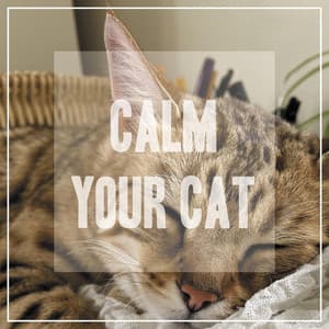 Calm Your Cat - Pet Music