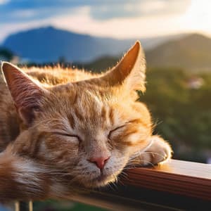 Gatos Suaves: Felinos Música Para La Armonía - Clásicos de la música para la cena