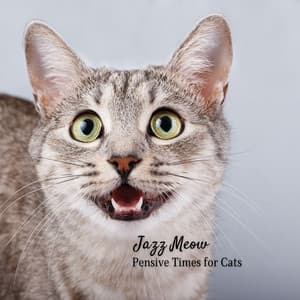 Jazz Meow: Pensive Times for Cats - Light Jazz Playlist
