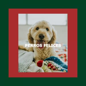 PERROS FELICES - Restaurant Jazz Classics