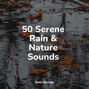 50 Serene Rain & Nature Sounds - Nature Recordings