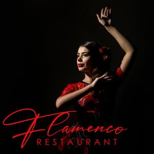 Flamenco Restaurant: Latin Vibe Dinner Time - Restaurant Jazz Music Collection